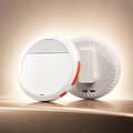 Portable Bluetooth Language Translator